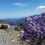 A Ca Du Megu - Charme A 100 Mt Dal Mare Apartament *