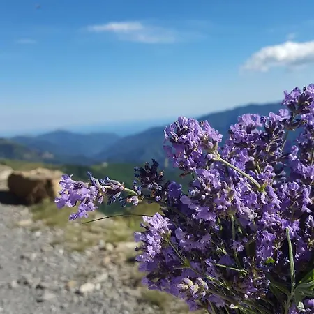 A Ca Du Megu - Charme A 100 Mt Dal Mare Apartamento *
